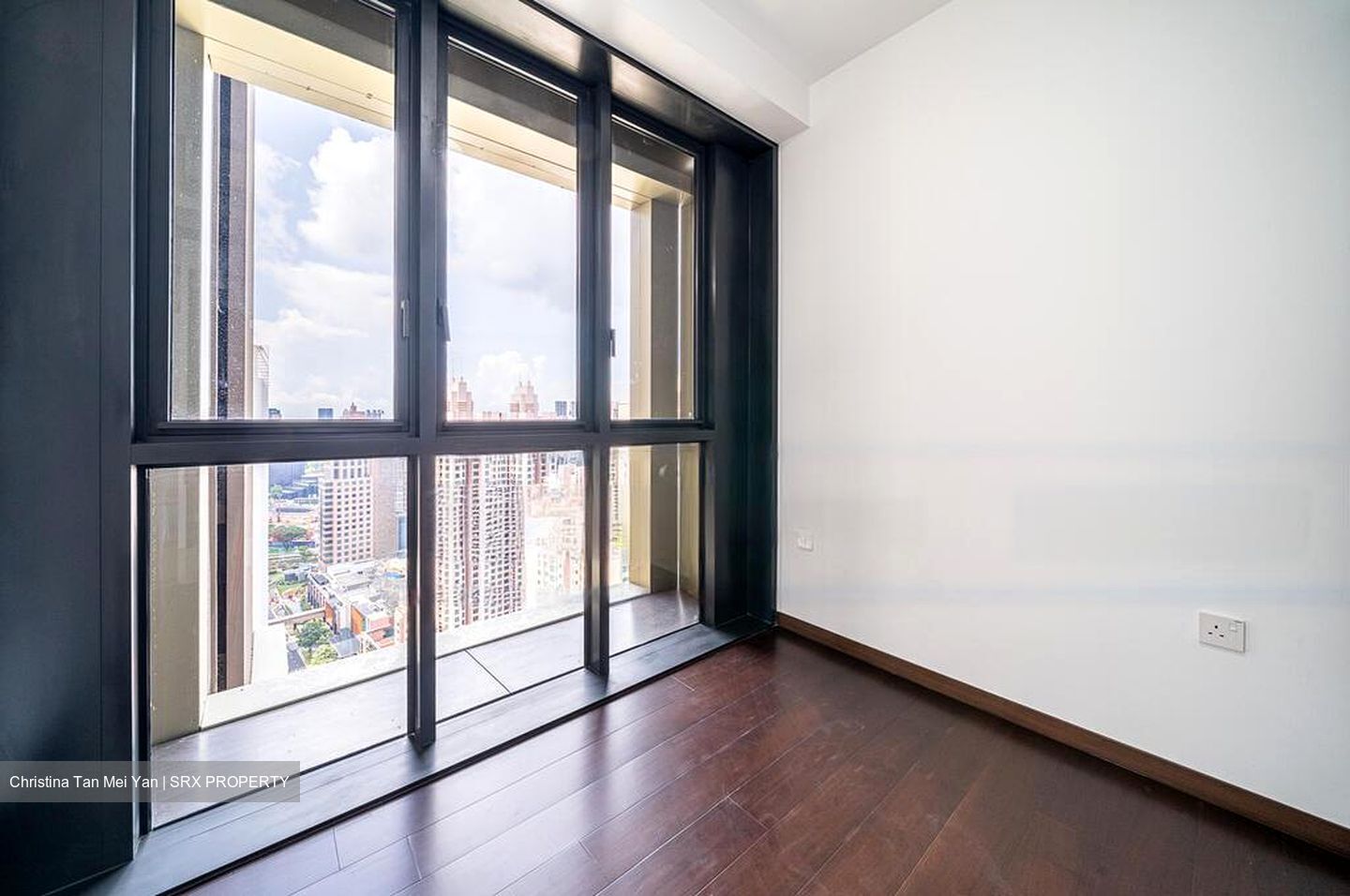 Irwell Hill Residences (D9), Apartment #451600811